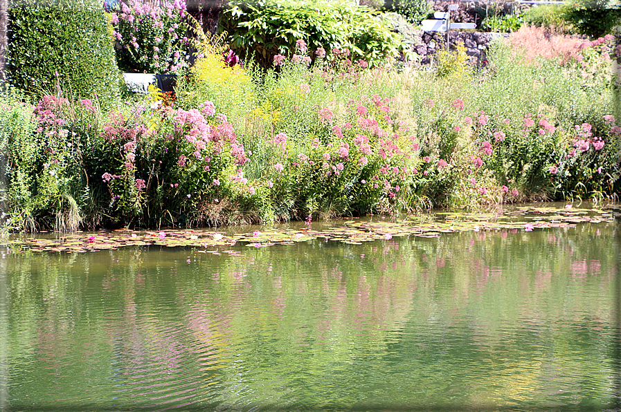 foto Giardini Trauttmansdorff - Giardini acquatici